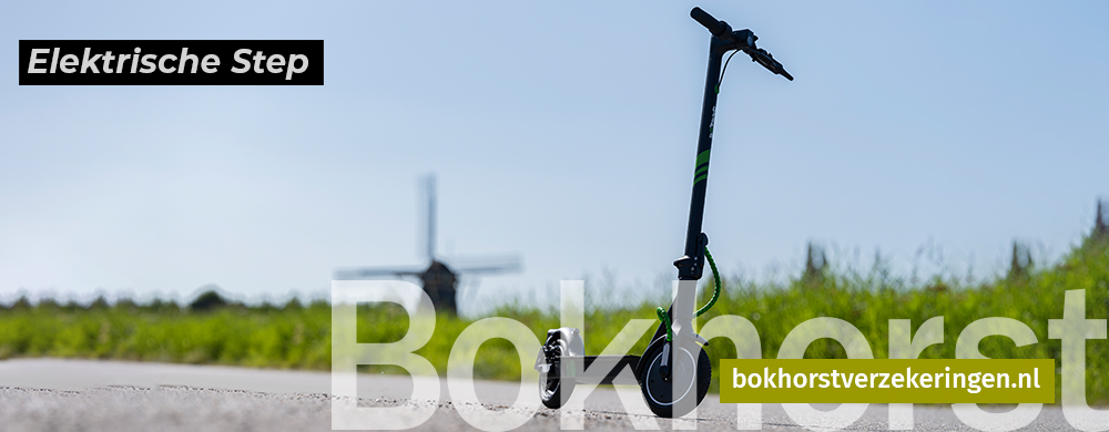 Collage praalwagens en optochten